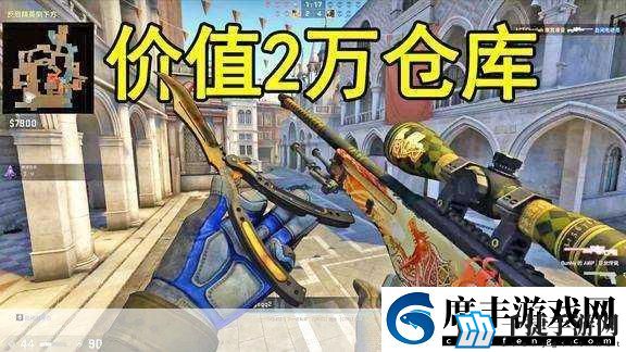 日本csgo大姐姐awp价格是多少-1.-日本csgo大姐姐awp价格揭秘：游戏中的奢华武器